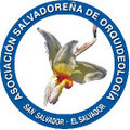 orquideas.jpg