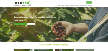 Sitio-web-proeco